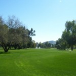 Fore! Orangetree Golf Course in Scottsdale